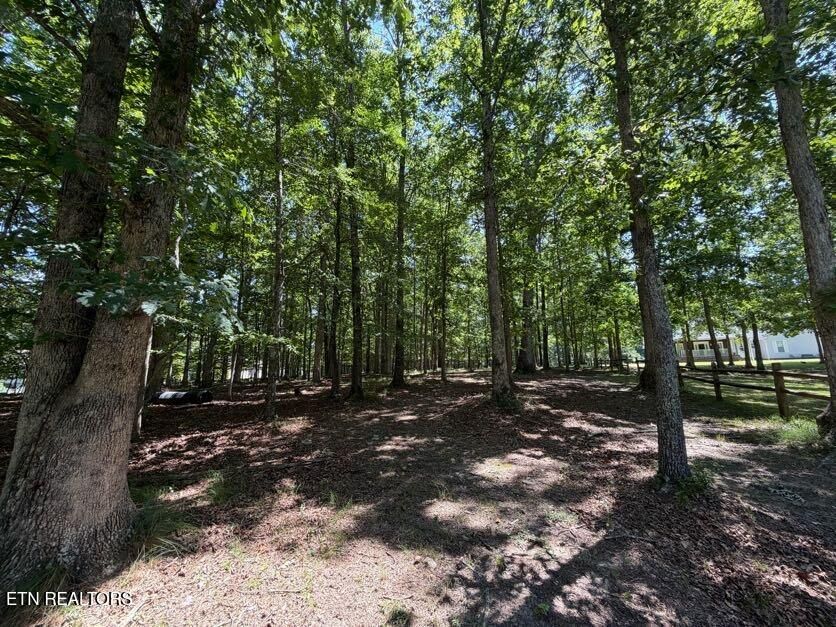 Property Photo:  Forest Drive- Lot 34  TN 38555 