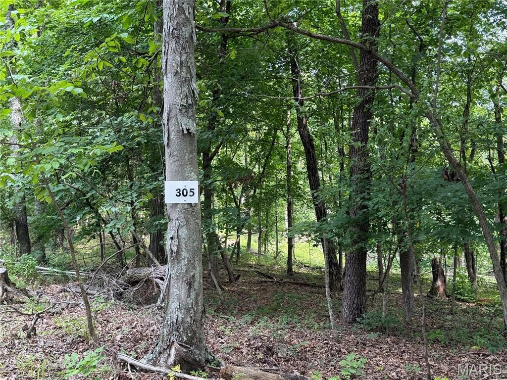 Property Photo:  #305 Madison 410  MO 63645 