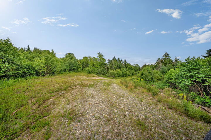 Property Photo:  M002l035 Route 191(Cutler Rd) Road  ME 04655 