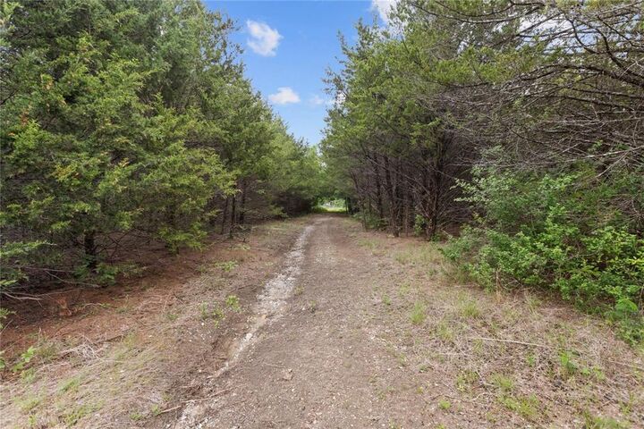 Property Photo:  Tbd County Road 3105  TX 75418 