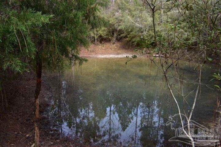 Property Photo: 0002 Pat Brown Rd FL 32570