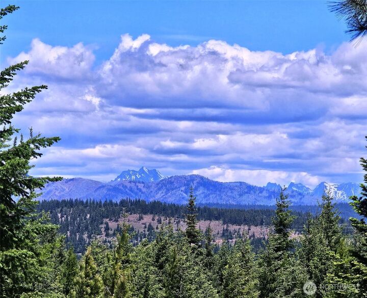 Property Photo:  2461  Big Horn Way  WA 98922 