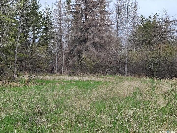 Property Photo:  Rural Address  SK S0M 1J0 