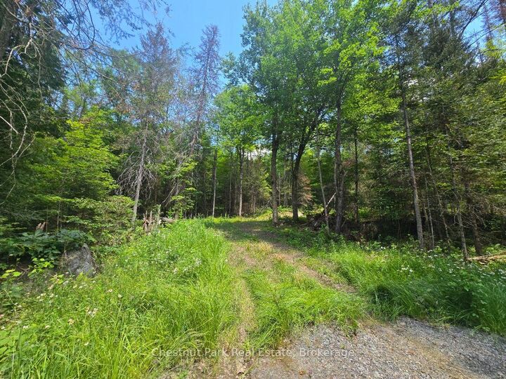 Photo de la propriété:  1630 Midlothian Road  ON P0A 1C0 