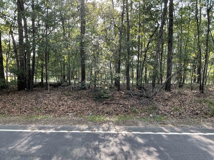 Property Photo:  Tbd Village Rd.  SC 29440 