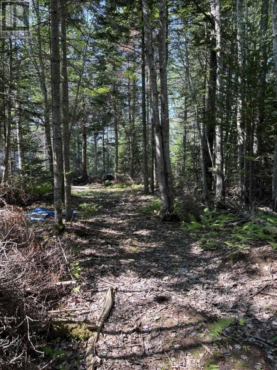 Property Photo:  25-5 Factory Road  NS B0K 1J0 