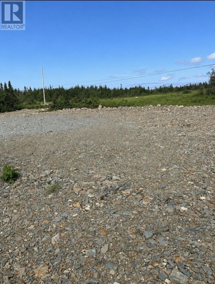 Property Photo:  15 Center Island Road South  NL A0G 2X0 