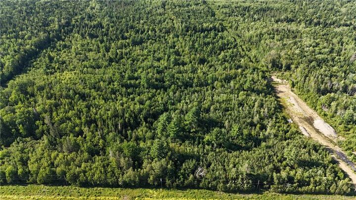 Woodlot Route 8 — photo 1