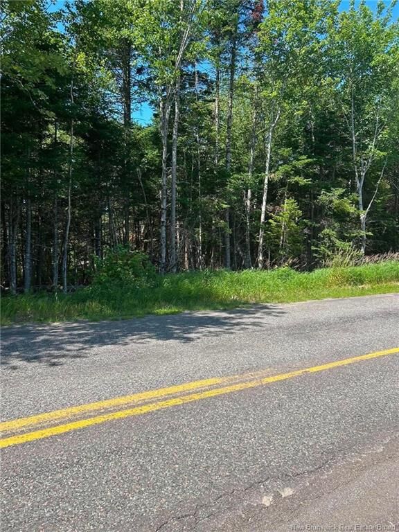 Property Photo:  Lot 20-2 Route 825  NB E5R 1W6 