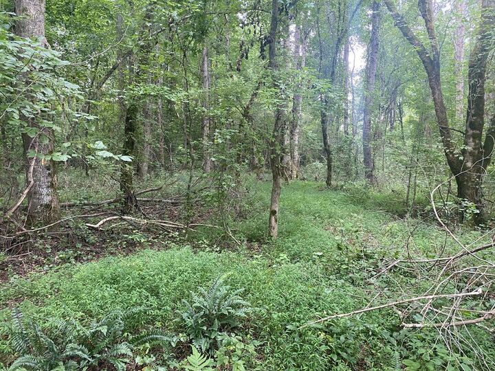 Property Photo:  437 Acres Brown Creek Road  GA 31826 