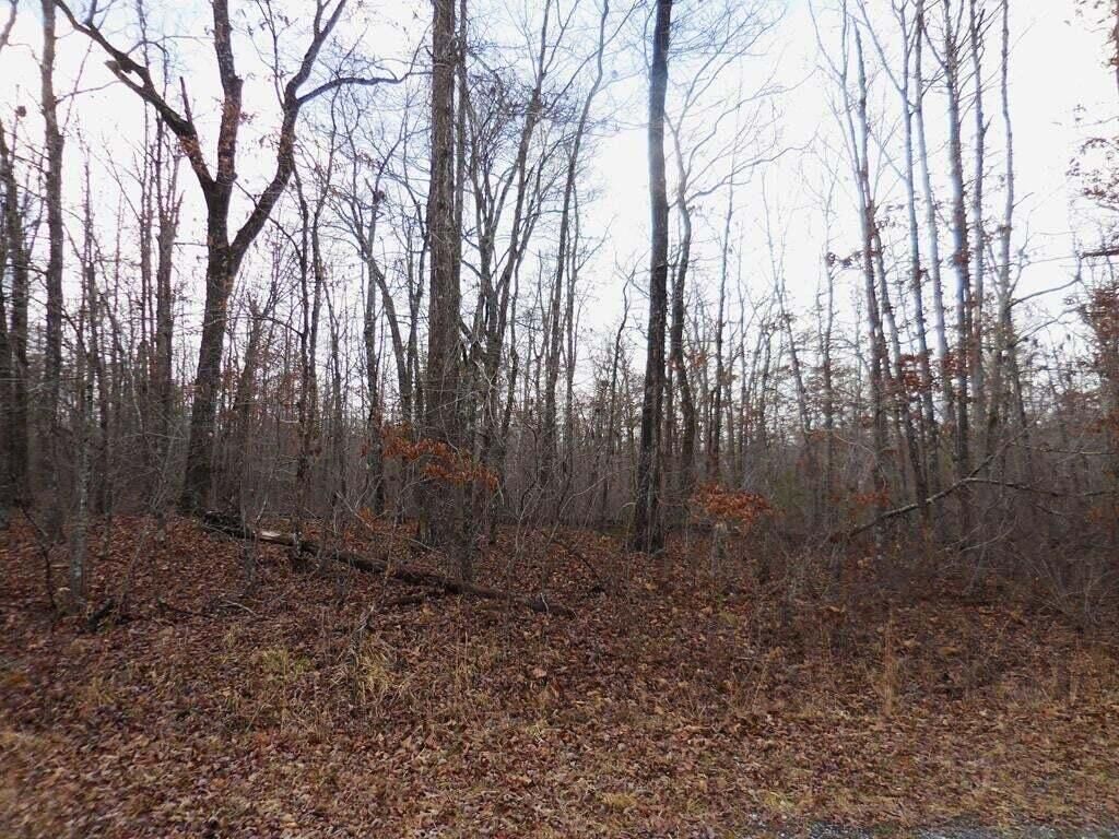 Property Photo: 3008 Diego Drive TN 38572