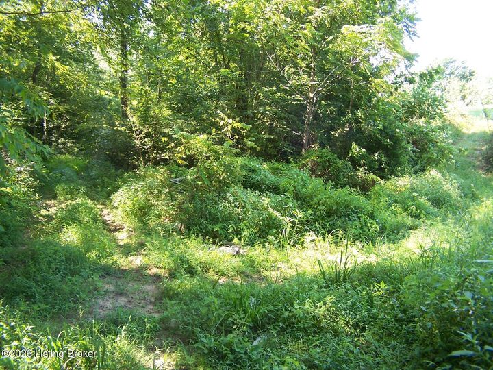 Property Photo:  0 Anna Sandhill Rd  KY 42101 