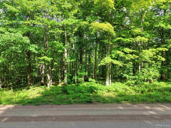 Property Photo:  Tbd S Laird Road  MI 49952 