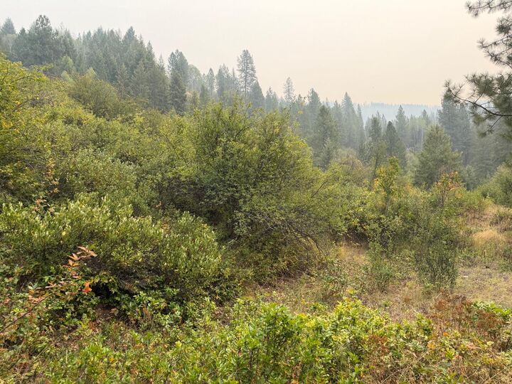 Property Photo: 51xx Northport-Waneta Rd WA 99114