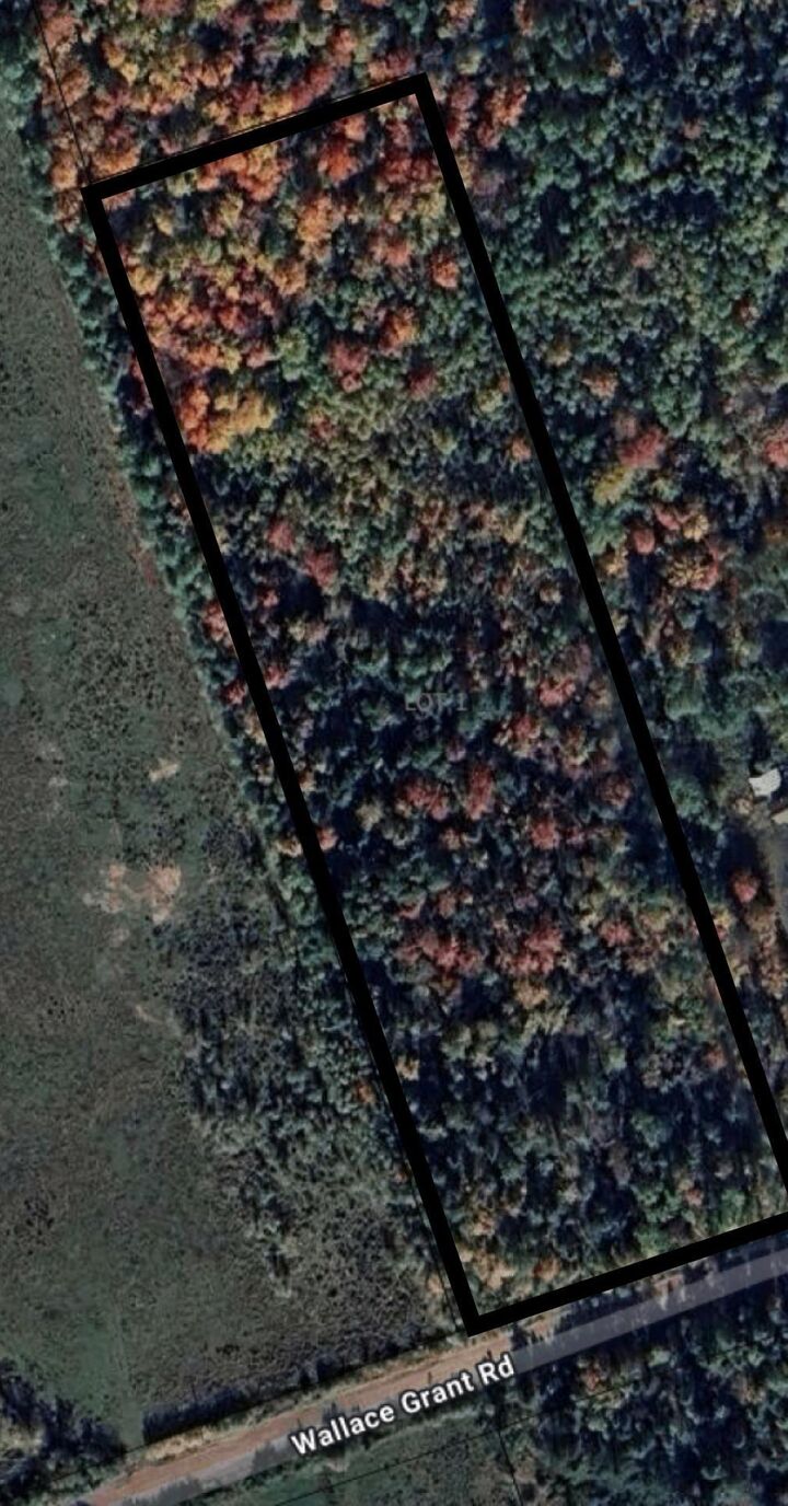 Property Photo:  Lot-1 Wallace Grant Road  NS B0K 1E0 