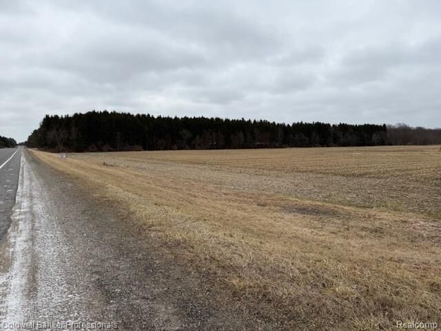 Property Photo: Vl N Branch Road MI 48461