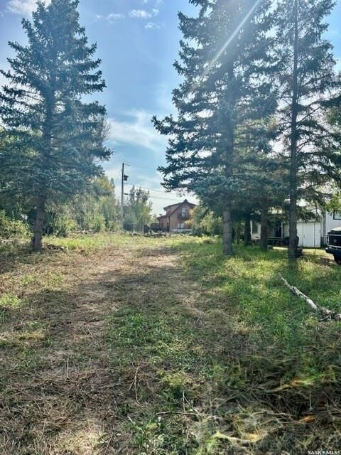 Property Photo:  316 Evenson Avenue  SK S0K 4T1 