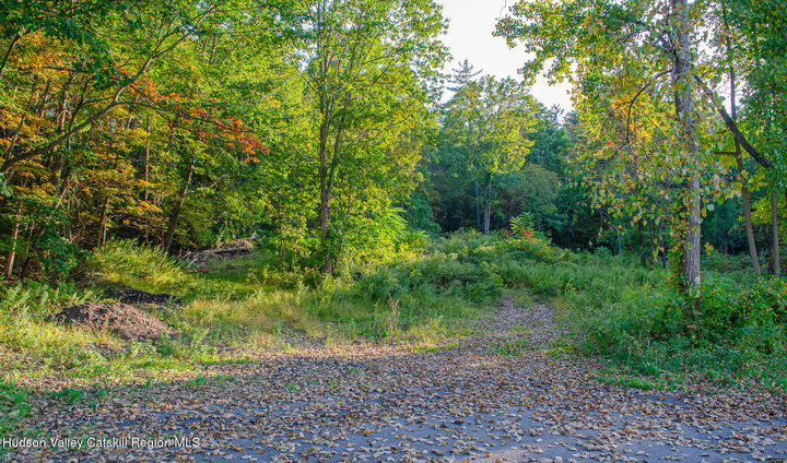 Property Photo:  37 Tiger Maple  NY 12477 