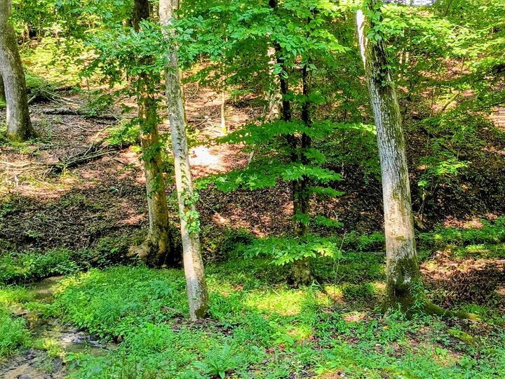 Property Photo:  00 Short Oak Road  GA 30705 