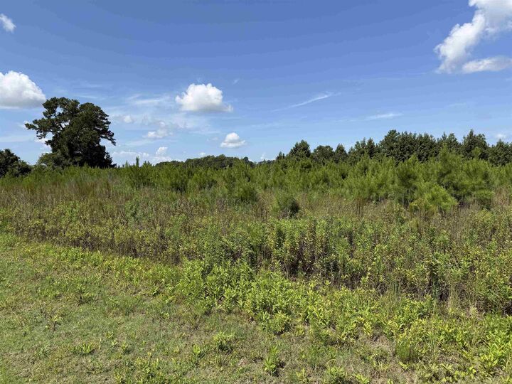 Property Photo:  183 Dove Rd.  SC 29569 