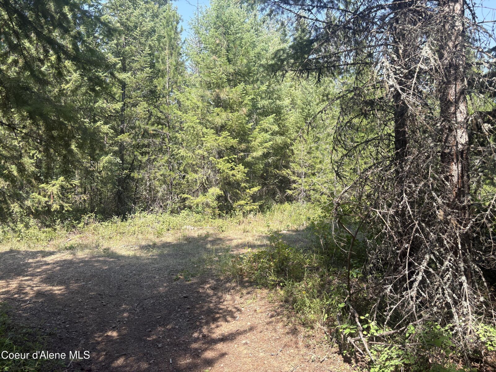 Property Photo:  L7b130 W Vermont St  ID 83869 