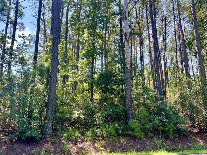 Property Photo: 387 Founders Oak Way SC 29945