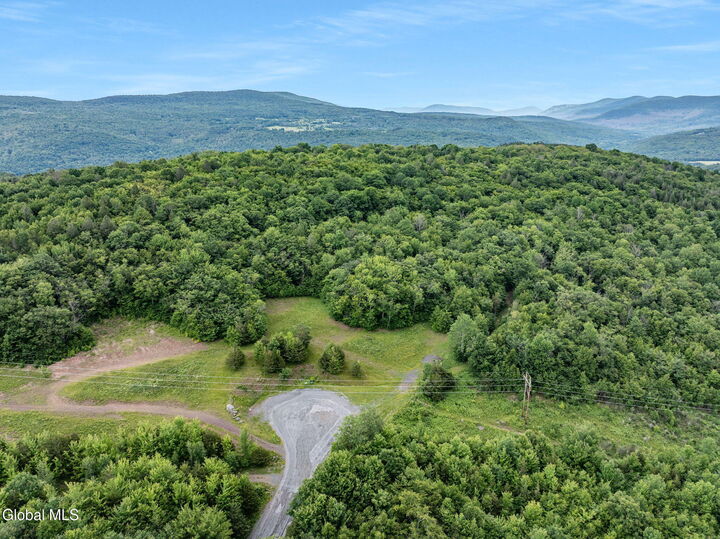Property Photo:  L39 Overlook Drive  NY 12452 