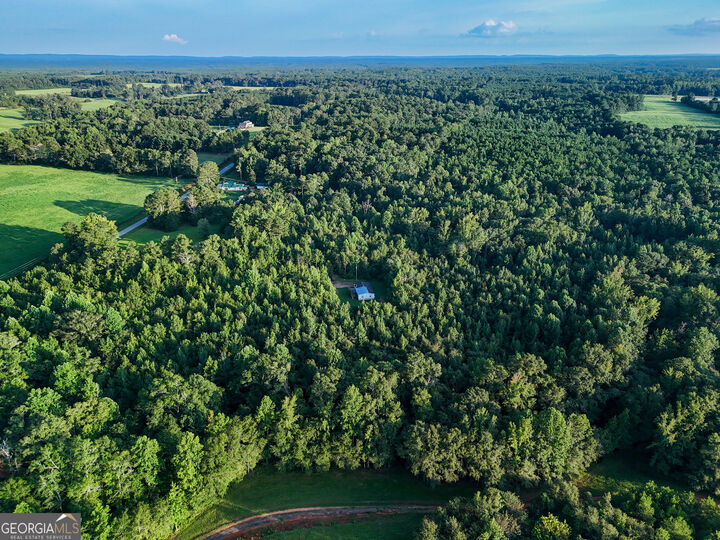 Property Photo: 137 Robertson Road GA 30241