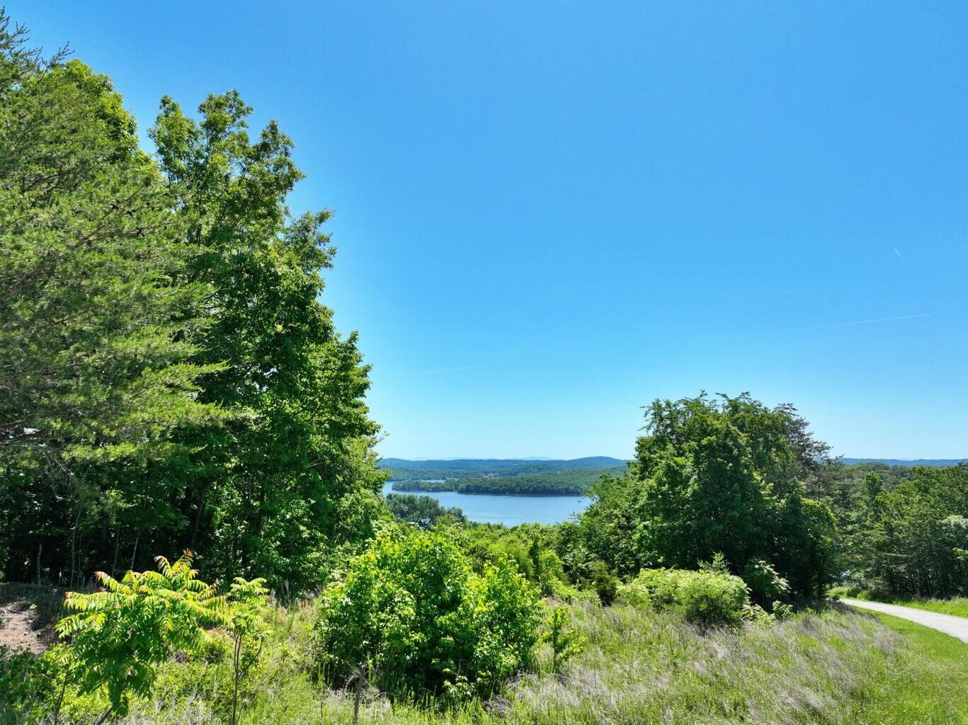 Property Photo: 0 Flint Ridge Road TN 37854