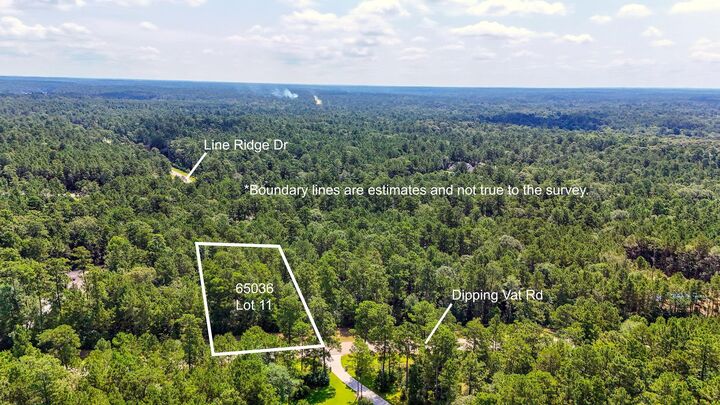 Property Photo:  1.52 Acres Dipping Vat Road  TX 77340 