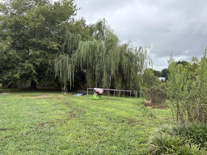 Property Photo:  448 Keavy Craigs Creek Road  KY 40744 