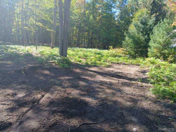 Property Photo:  0 Goldenrod Dr  MI 48629 