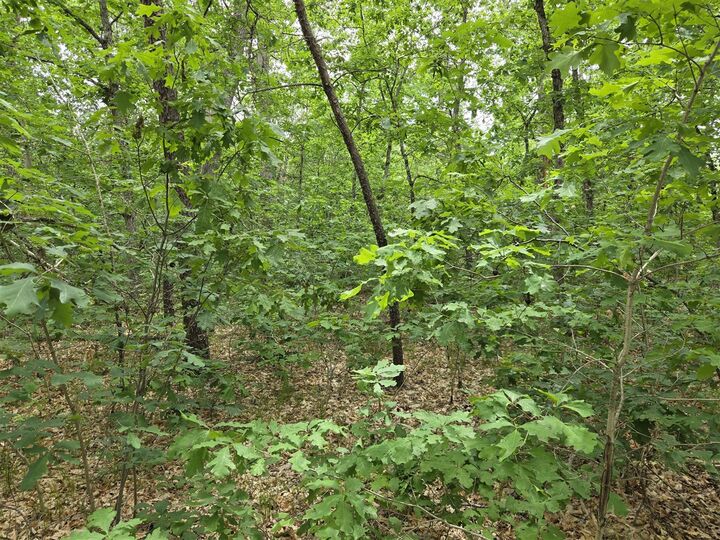 Property Photo:  V/L 10-13 W Oliver Road  MI 49304 