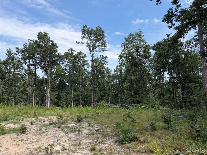 Property Photo:  #304 Madison 410  MO 63645 