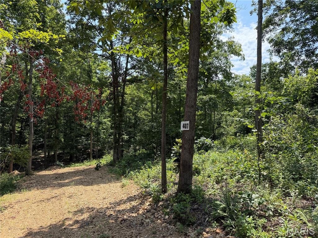 Property Photo:  #407 Madison 410  MO 63645 