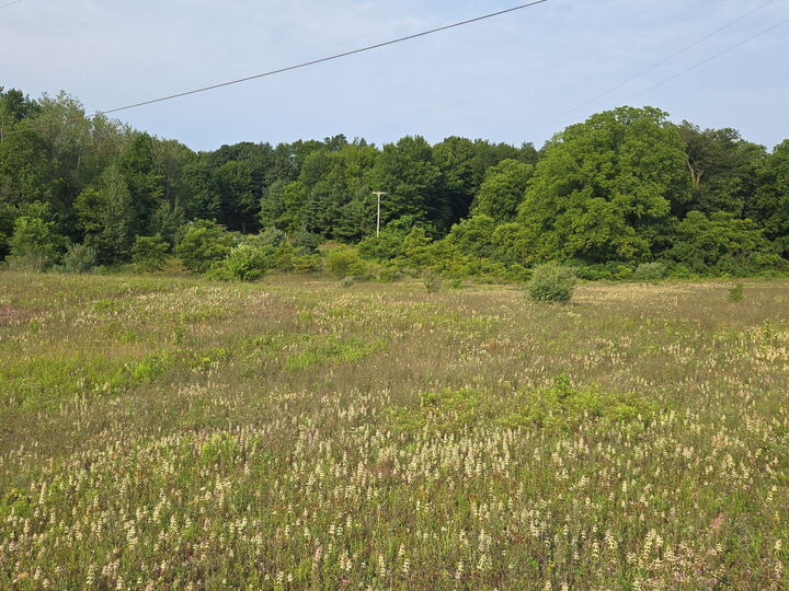 Property Photo:  N 72nd Avenue  MI 49420 