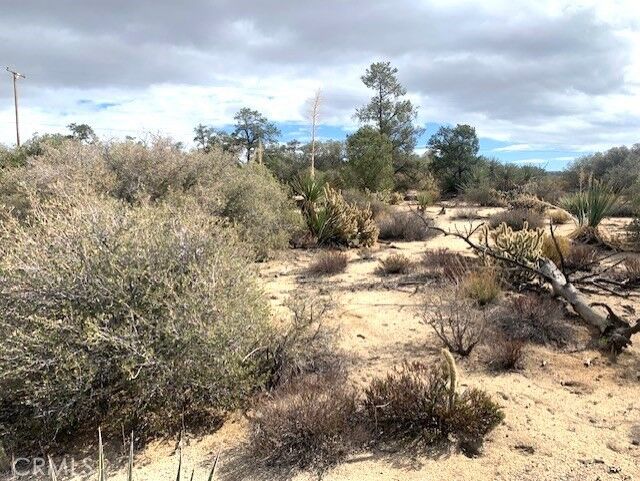 Property Photo: 368 Palm Canyon Drive CA 92561