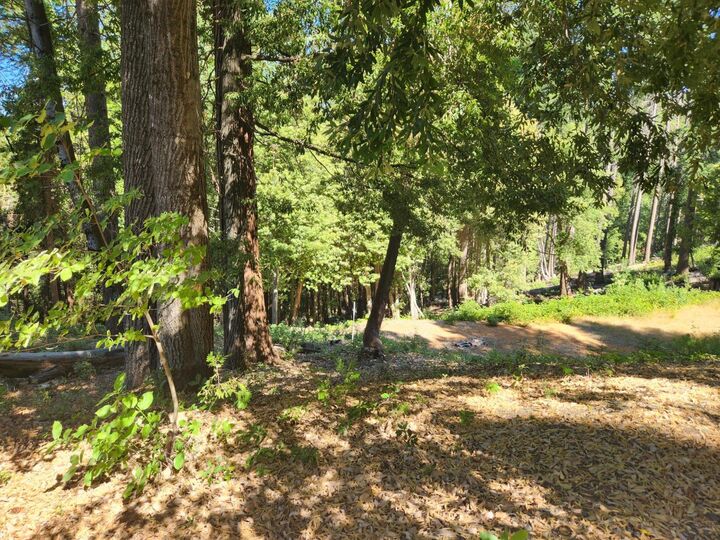 Property Photo: 11157 Breezy Boulevard CA 95930