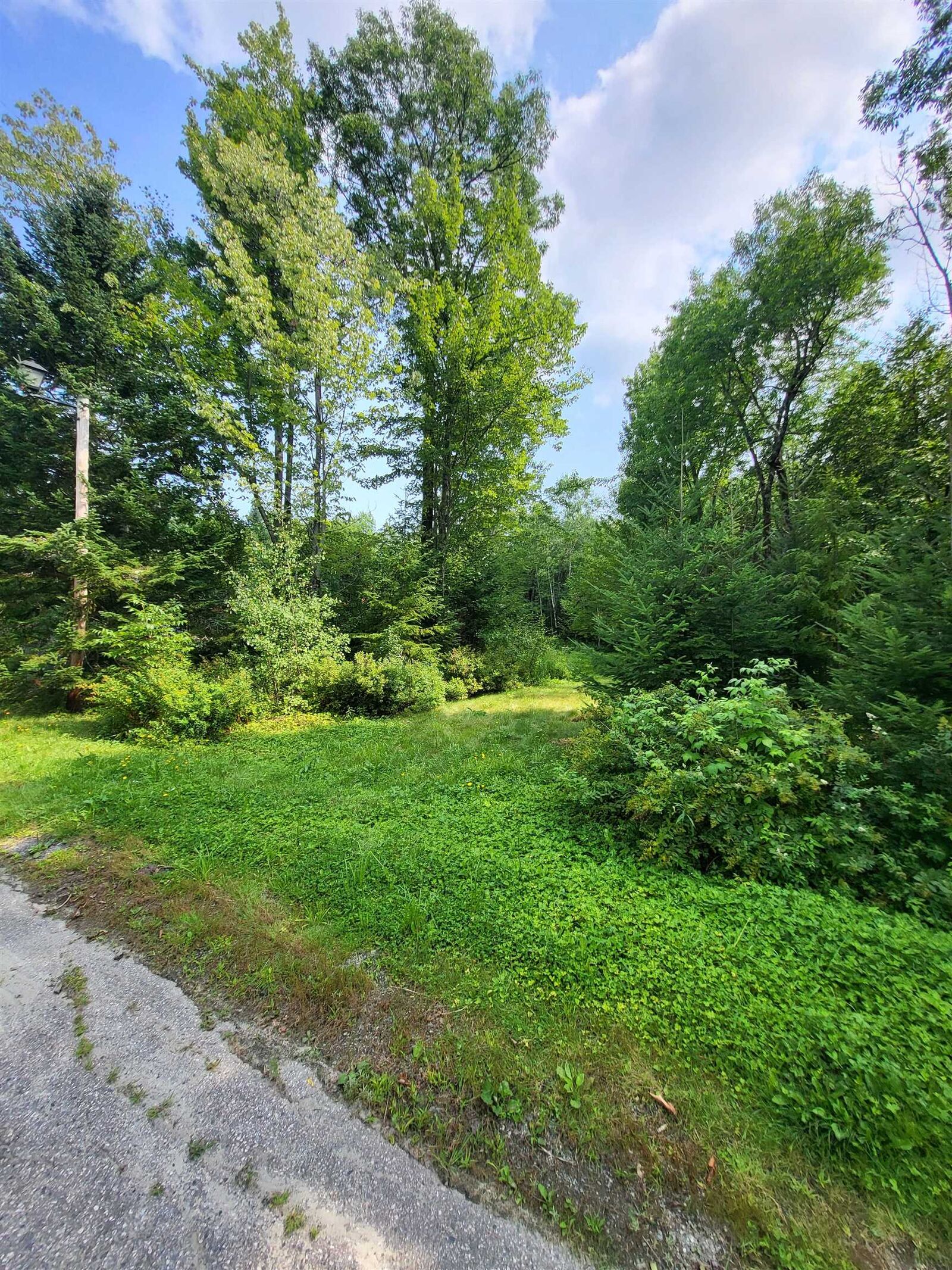 Property Photo: Noyes Street NH 03574