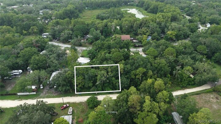 Property Photo:  0 Fern Street  FL 34654 