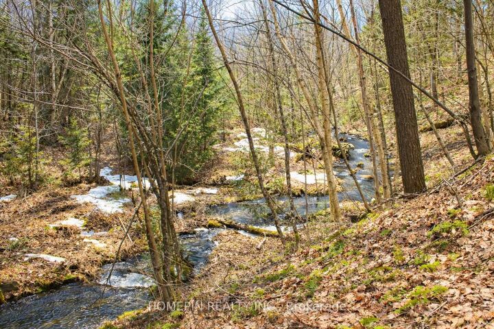Property Photo: 673 Buckshot Lake Road ON K0H 1K0