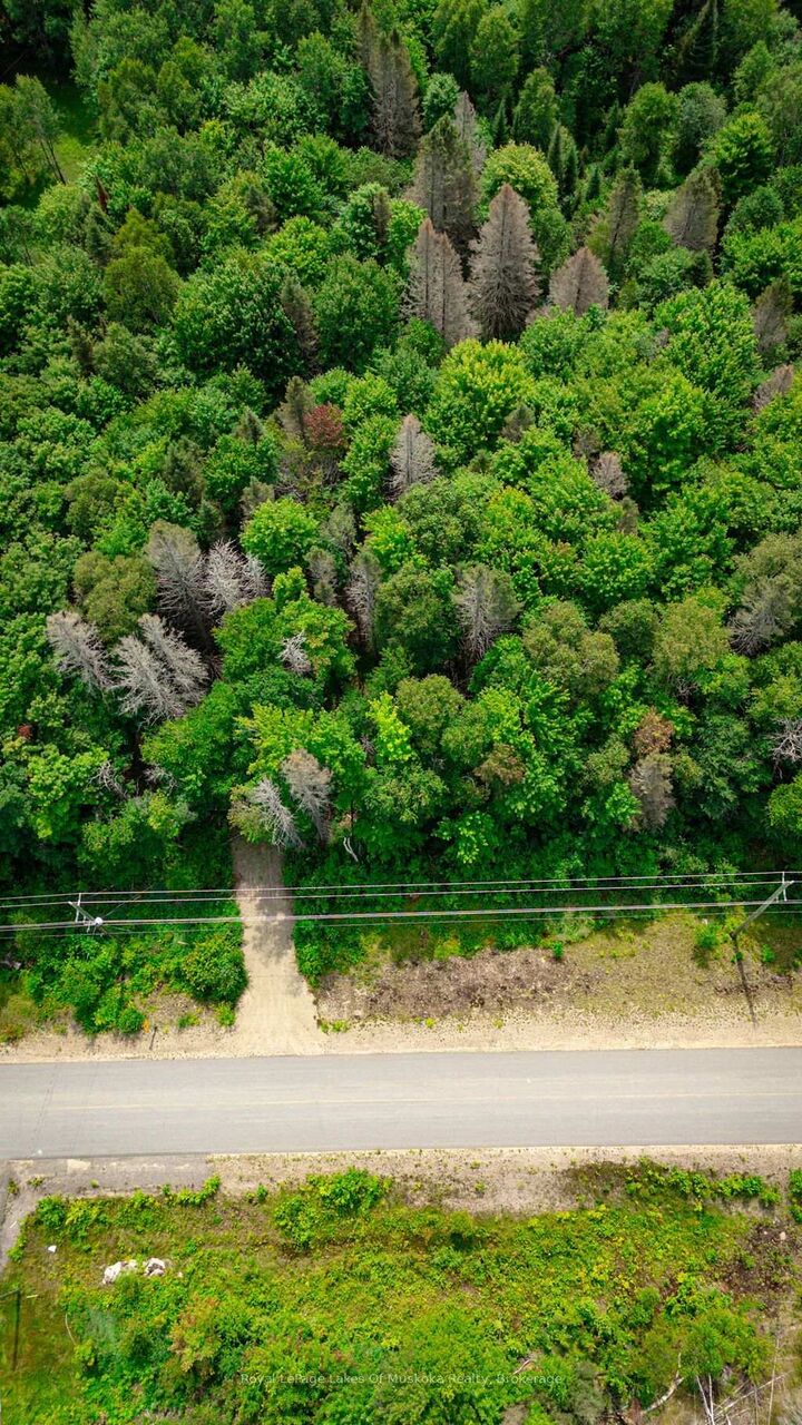 Property Photo:  167 North Pickerel Lake Road  ON P0A 1C0 