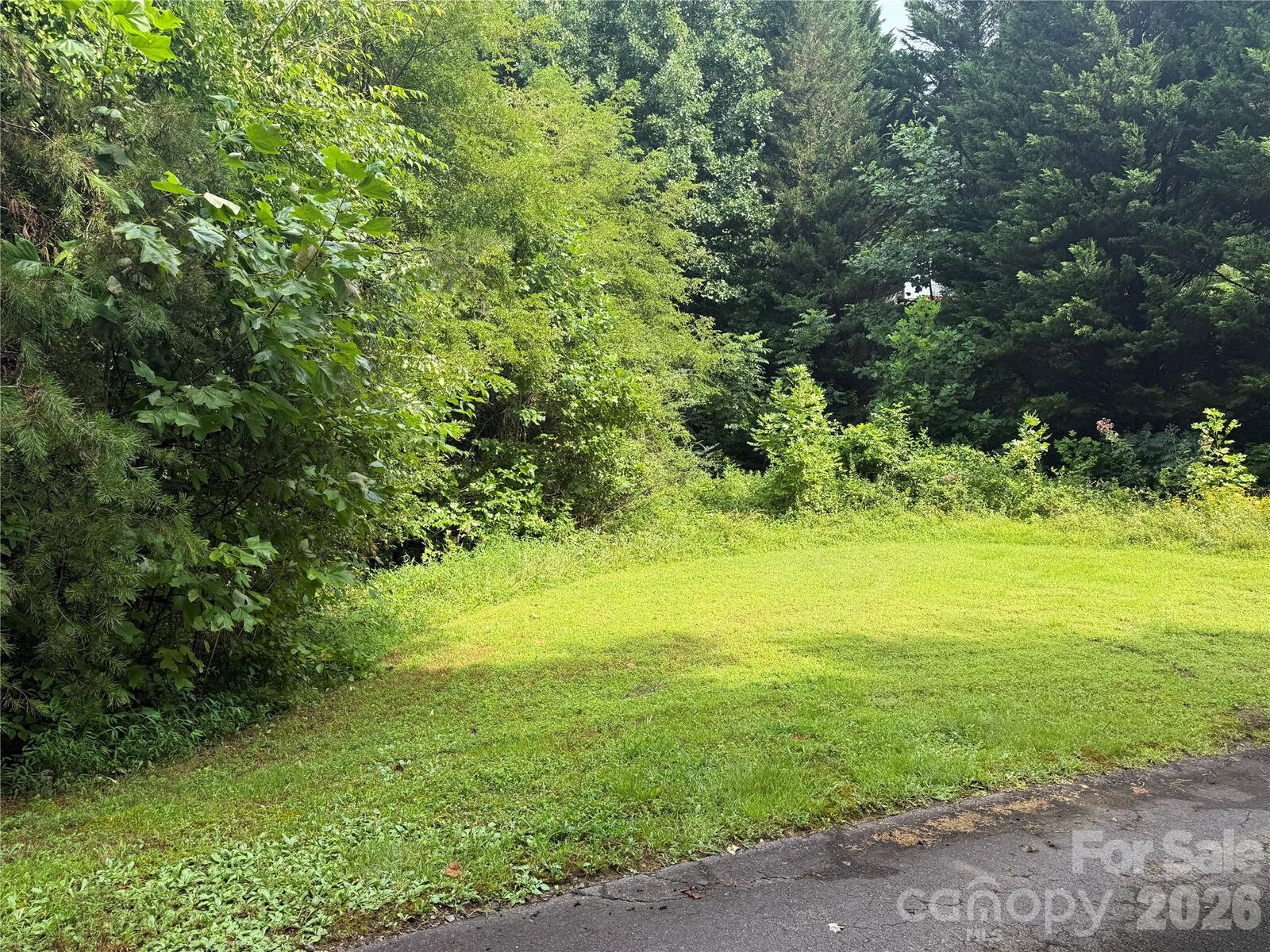 Property Photo:  99999 White Oak Drive  NC 28753 