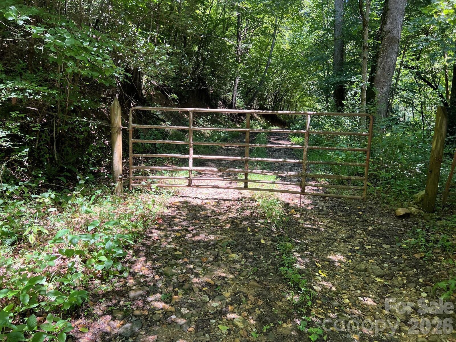 Property Photo: 0 Old Johns River Road NC 28611