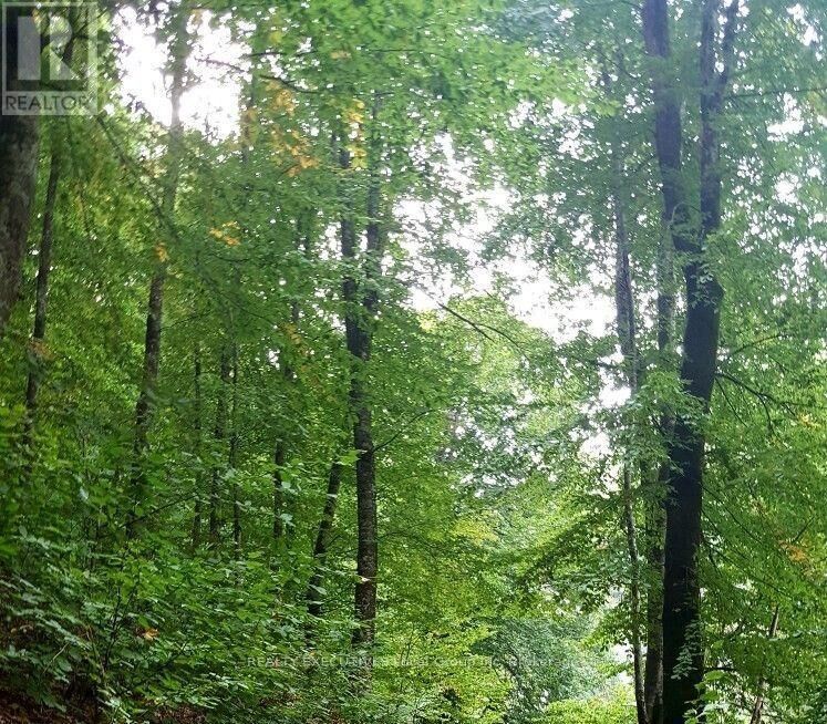 Property Photo:  Con 8 Pt Lot 35  ON P0H 2E0 