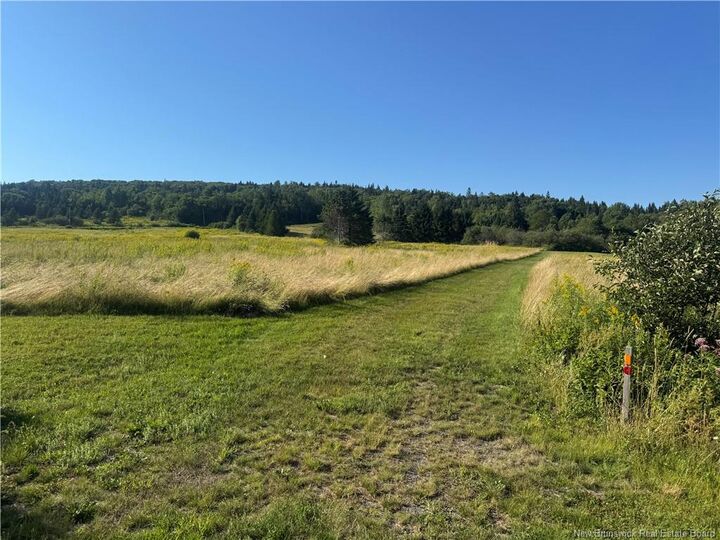 Vacant Lot Big Salmon River Road — photo 1