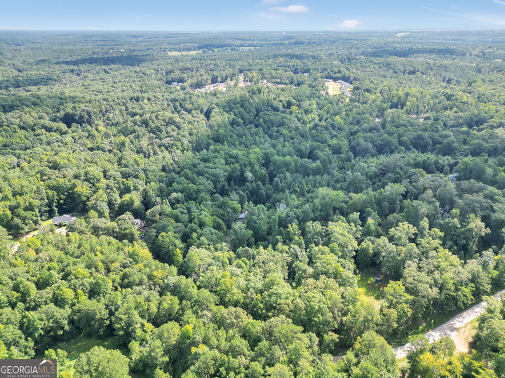 Property Photo: 376 Doe Lane GA 30055