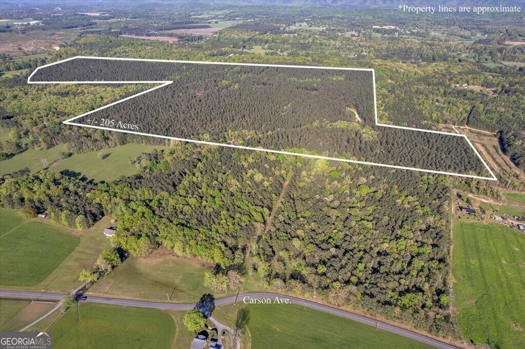 Property Photo:  205+ Ac Maddron Road  GA 30711 