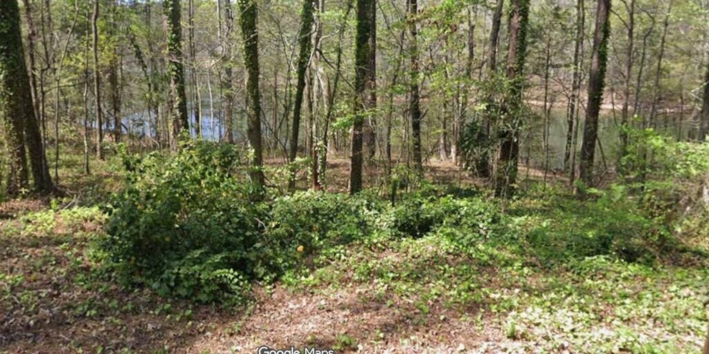 Property Photo:  Lot 56H Hawthorne Drive  GA 31831 