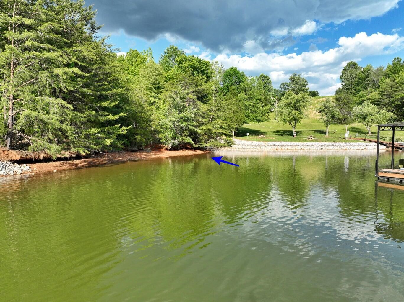 Property Photo:  211 Blue Heron Bluff  TN 37748 